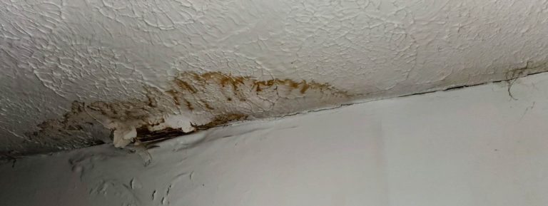 Water damage repair by Crocker Home Painting
